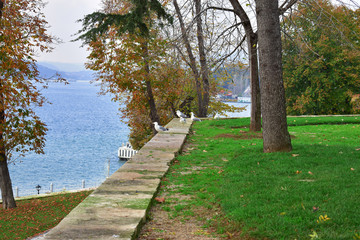 Seagull watching the Bosphorus of Istanbul. from the edge of the garden Strait of Istanbul