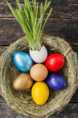 Easter colored eggs in egg nest, soft focus image. Happy Easter Card	