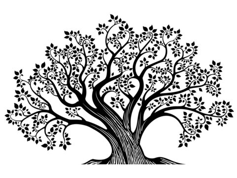 recommend clip art: Tree-B&W