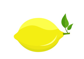 lemon isolated vector image of citrus fruit