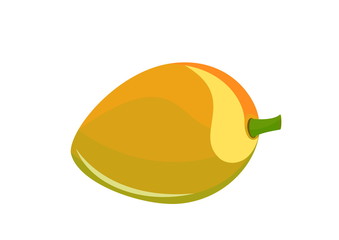 mango isolated vector image of tropical fruit