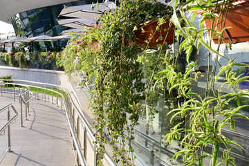 Outdoor cafe zigzag shape with floral decoration