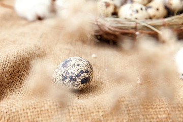 Easter decoration with egg in nest and cotton on brown rustic linen canvas background. Easter...