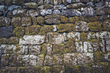 mossy wall green with brick work 