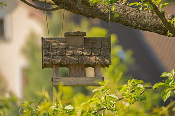 Lovely birdhouse in park