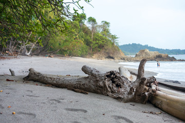 Beach near Manuel Antonion