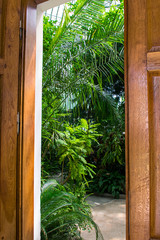 Open door to en exotic garden
