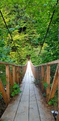 Fototapeta premium Bridge of The Nature