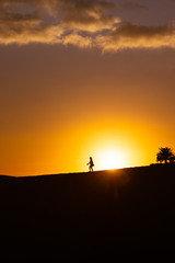 Fototapeta na wymiar maspalomas dunes, gran canaria, spain, sunset with shadow silhouetes of people in front of sunball