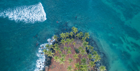 Aerial view of coconut trees at seaside the morning,Sri lanka