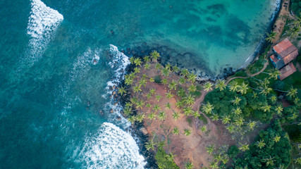 Aerial view of coconut trees at seaside the morning,Sri lanka