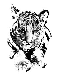 Tiger Cub Line Art