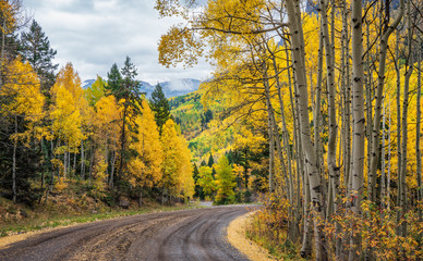 Autumn colors on Camp Bird Road out of Ouray, Colorado