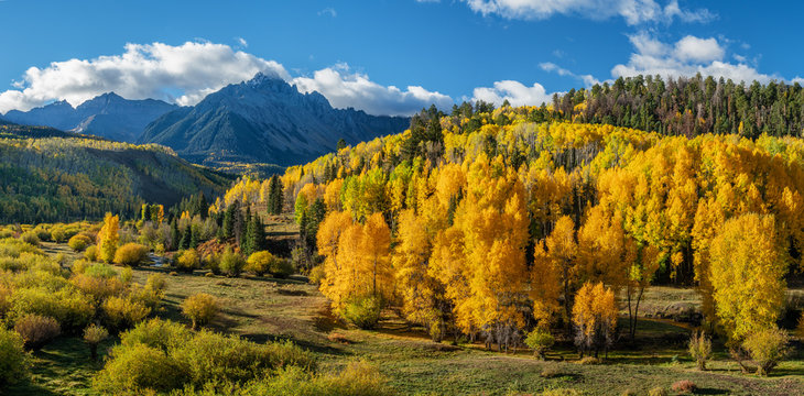 75,047 Best Colorado Trees Images, Stock Photos & Vectors 