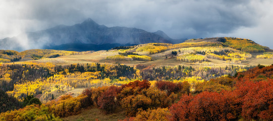 Obraz premium Golden Autumn Aspen on Last Dollar Road near Telluride Colorado