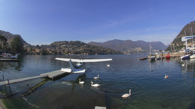 swans swim in the marina between sailboats and seaplanes, como lake - Italy