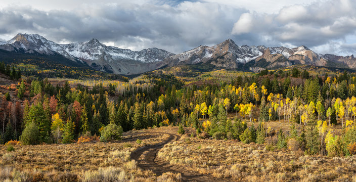 Early Morning Autumn Aspen along Ridgway Colorado Rock Mountains County Road 9	