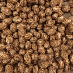 walnuts background 3d render