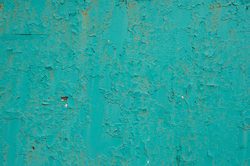 Old wall covered with cracked green paint. For design, banner and layout.