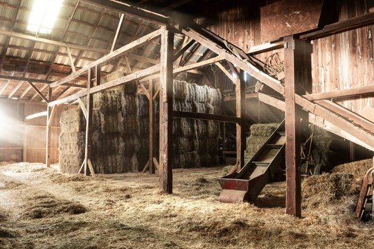 Barn Interior Wooden Light Beams Hay Bales Rustic 