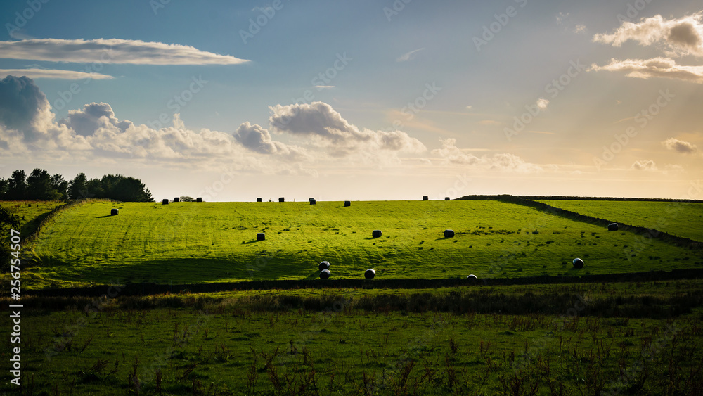 Wall mural Bales of hay wrapped in black plastic at South Pennines above Nelson in Lancashire, England