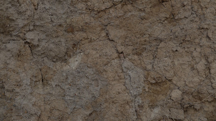 soil background