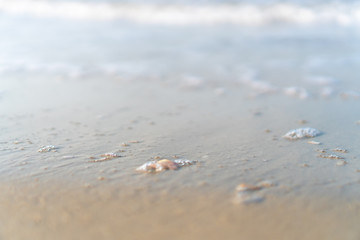 Tropical nature clean beach and white sand in summer with sun light blue sky and bokeh background.