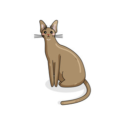 Vector Character of Chausi Cat in Kawaii Style. Cute Cartoon Kitty Character. Funny Kitten isolated on White Background. Sticker of Kawaii Animal, Pet. Flat design. Usable for Children's Book