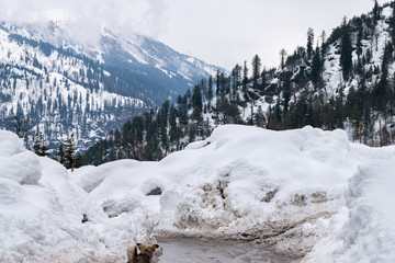 Solang Valley, Himachal Pradesh