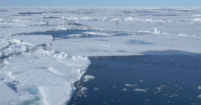 Ice on the sea of Spitsbergen Beautiful sailing shot of ice floating on the blue sea in Spitsbergen in 4K resolution