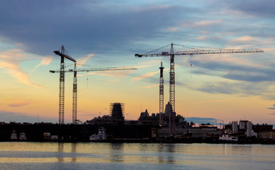 cranes at sunset