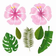 set tropical flowers with branches leaves