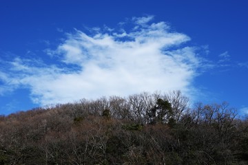 Obraz na płótnie Canvas The sight of the blue sky and white clouds.