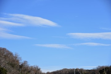 The sight of the blue sky and the white clouds.