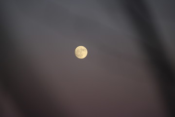 full moon in the sky