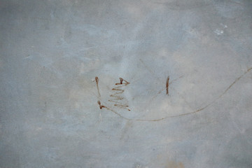 Concrete Wall Texture with Graffiti