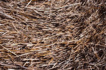 Straw, dry straw texture background