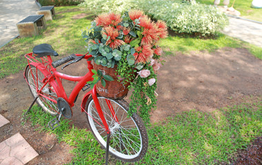 Fototapeta na wymiar Beautiful flowers in bicycle basket at the garden.