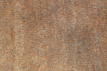Brown doormat texture. Natural carpet texture.