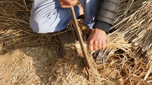 Chopping Straw for cattle to feed.