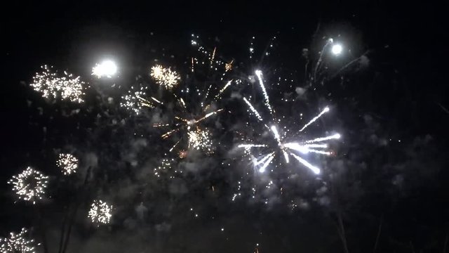 Night Fireworks looking through the branches full HD 60fps