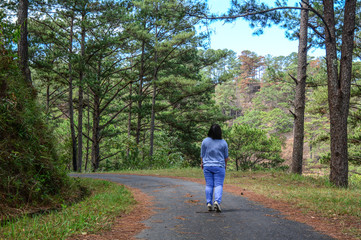 A woman walking at pine tree forest