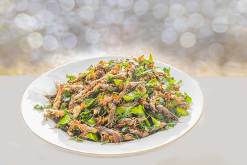 Mole cricket, Gryllotalpa africana Beauvois, Orthoptera, Gryllotalpidae, insects cooked on the white plate with the bokeh background.