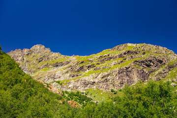 Fototapeta premium Peaks of mountains in the neighborhood of Dombai. Caucasus Mountains summer, clear day from the forest.