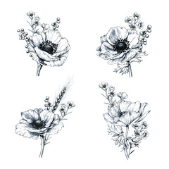 Set of hand drawn anemone boutonnieres.  Isolated outline flowers against white background.