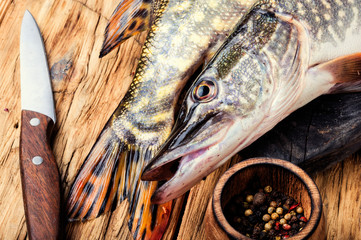 Fish pike on the kitchen board