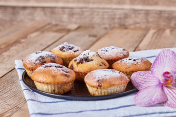 Cupcakes with chocolate chips with powdered sugar lie in a black baking sheet, on a napkin next to the orchid flower, on a wooden background.