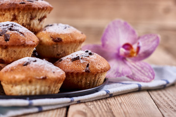 Cupcakes with chocolate chips with powdered sugar lie in a black baking sheet, on a napkin next to the orchid flower, on a wooden background. Close-up