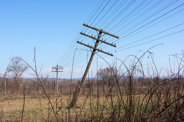 The falling electric pole in the field with the dried grass and prickly bushes. The inclined pole...