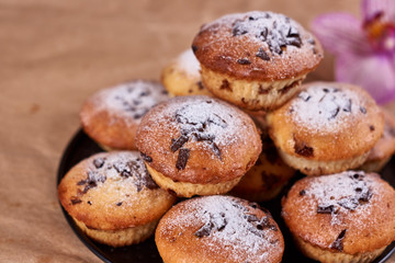 Cupcakes with chocolate chips with powdered sugar lie in a black baking sheet, on a kraft paper next to the orchid flower on a wooden background.